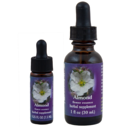 Almond (Flor del Almendro)