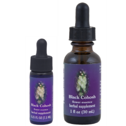 Black Cohosh (Cimífuga, Serpentaria Negra)