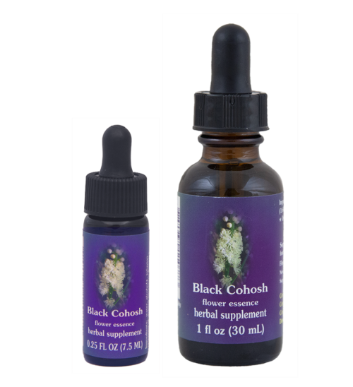 Black Cohosh (Cimífuga, Serpentaria Negra)