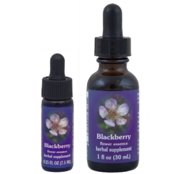 Blackberry (Zarzamora)