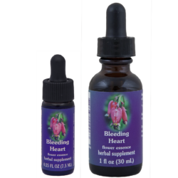 Bleeding Heart (Corazón de María)