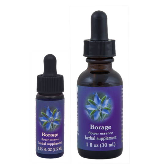 Borage (Borraja)