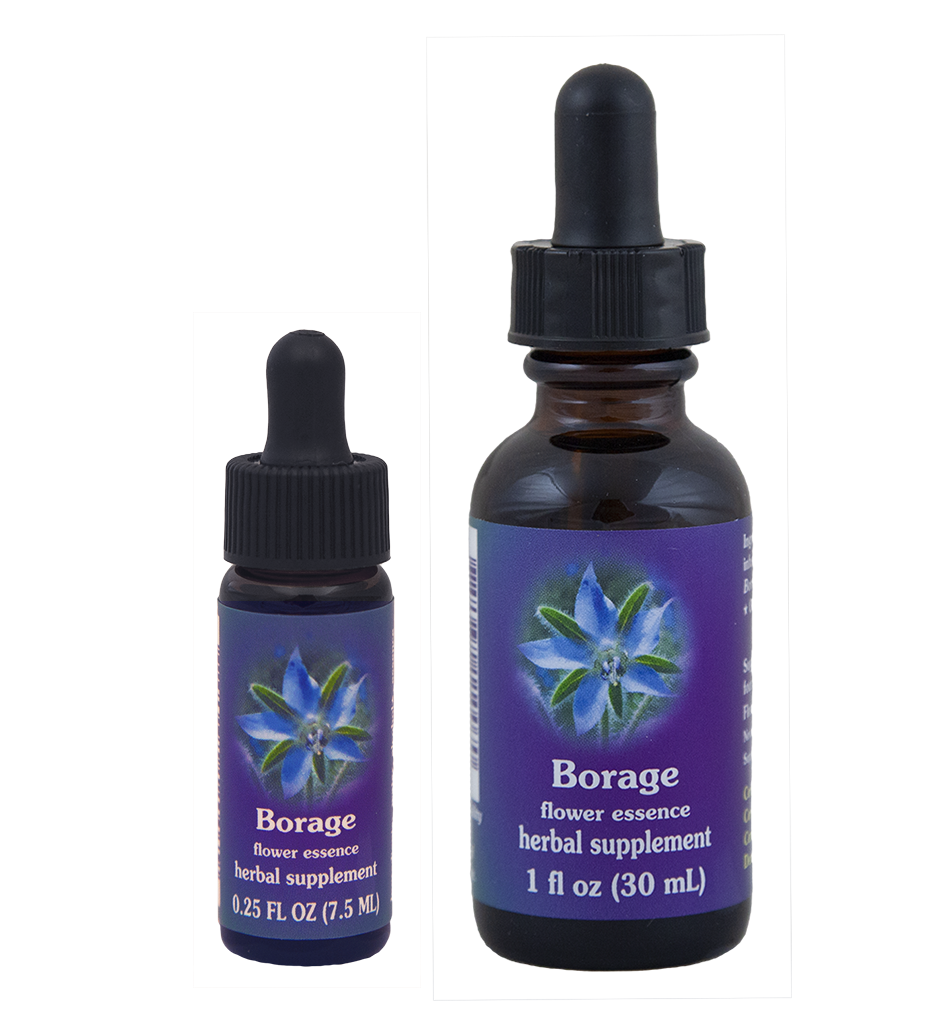 Borage (Borraja)