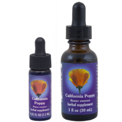 California Poppy (Amapola de California)
