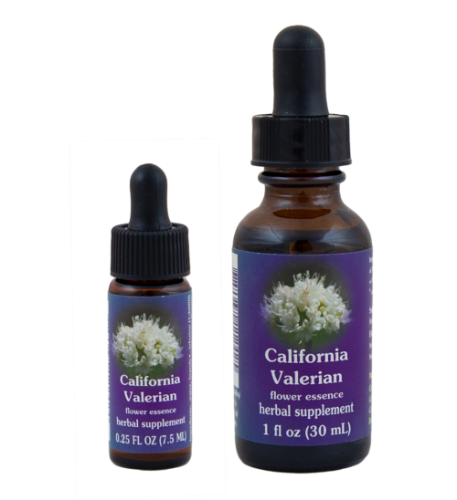 California Valerian (Valeriana de California)