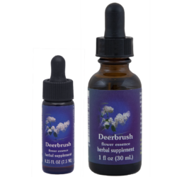 Deerbrush (Cola de Ciervo)