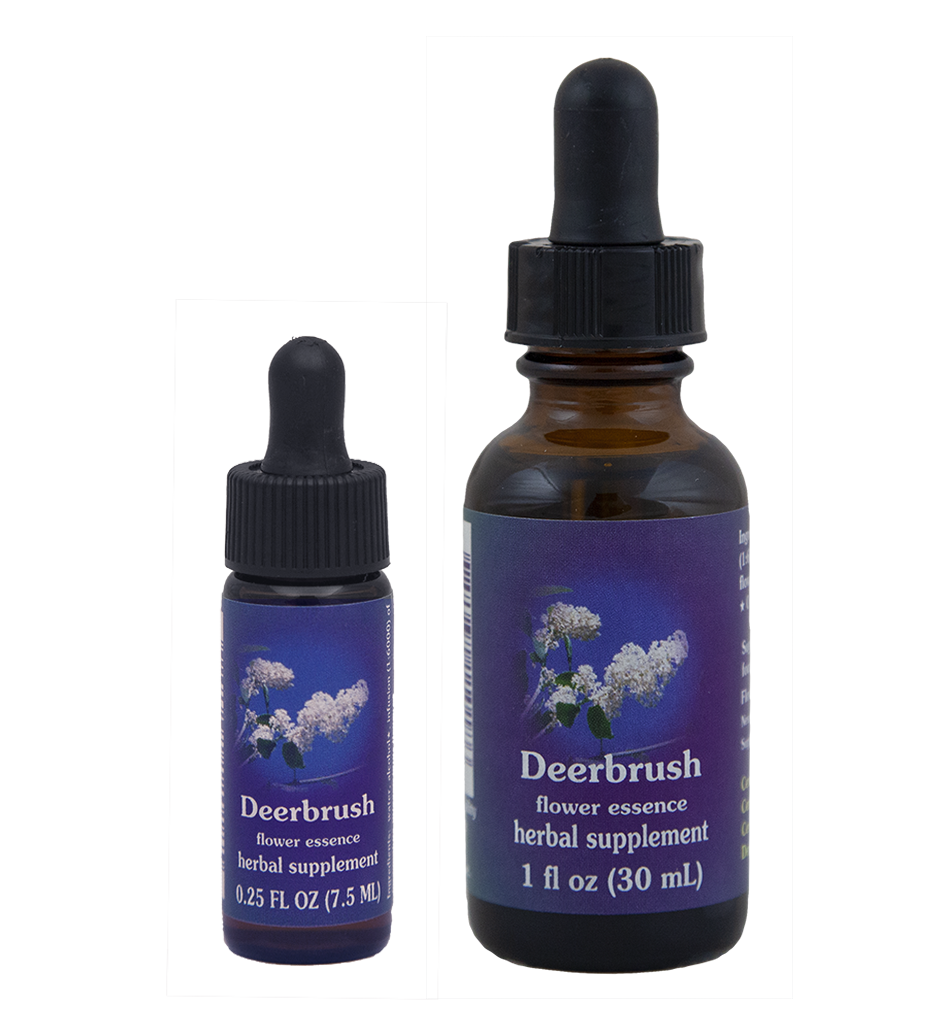 Deerbrush (Cola de Ciervo)