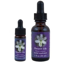 Desert Lily (Lirio del Desierto)