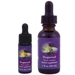 Dogwood (Cornejo del Pacífico Sanguiñuelo del pacifico)