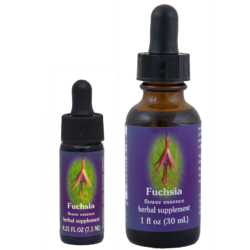 Fuchsia (Fucsia o Pendiente de la Reina)