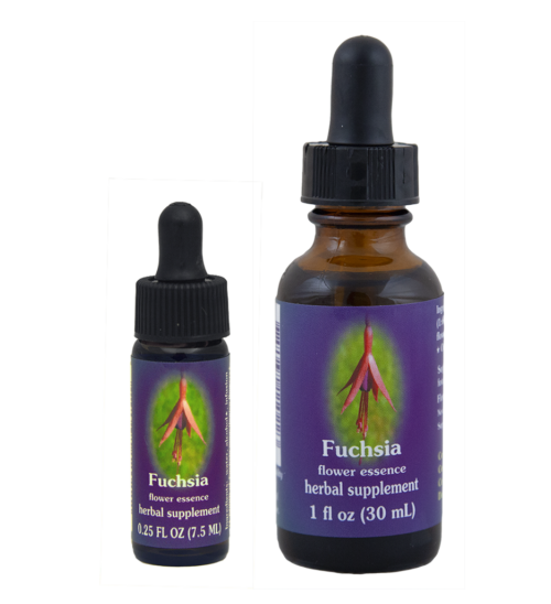 Fuchsia (Fucsia o Pendiente de la Reina)