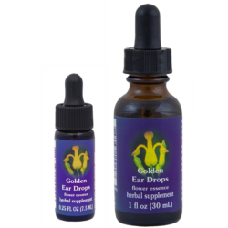 Golden Eardrops (Gotas de Oro)