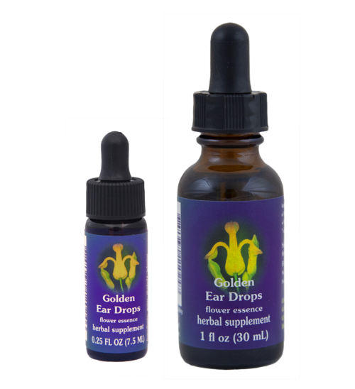 Golden Eardrops (Gotas de Oro)