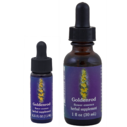 Golden Rod (Vara de Oro)