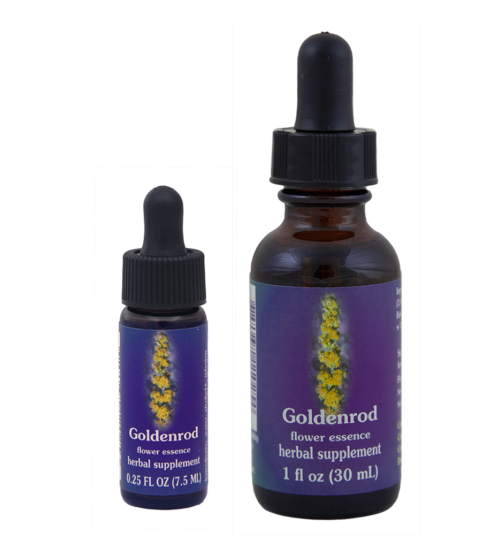 Golden Rod (Vara de Oro)