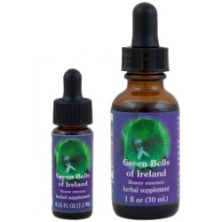 Green Bell Of Ireland (Campanas de Irlanda)