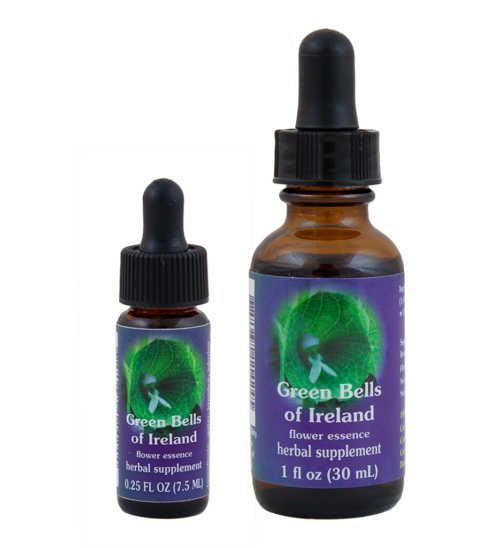 Green Bell Of Ireland (Campanas de Irlanda)