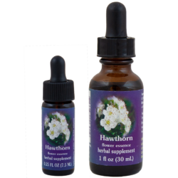 Hawthorn (Espino Blanco)