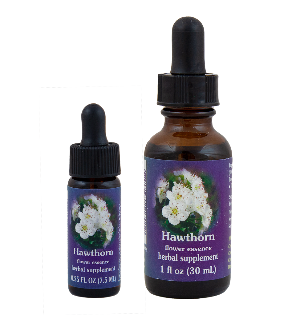 Hawthorn (Espino Blanco)
