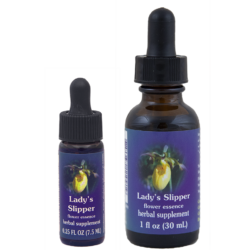 Lady´s slipper (Zapatilla de la Dama)