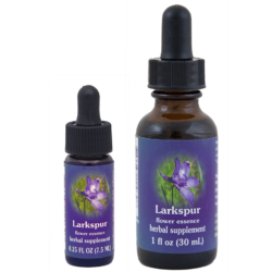 Larkspur (Espuela de caballero)