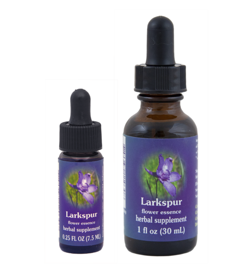 Larkspur (Espuela de caballero)