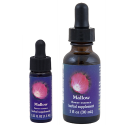 Mallow (Malva)