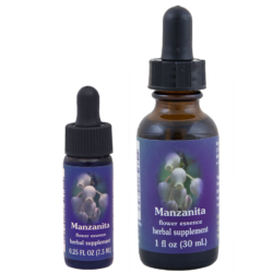 Manzanita (Uva de Oso, Gayuba)