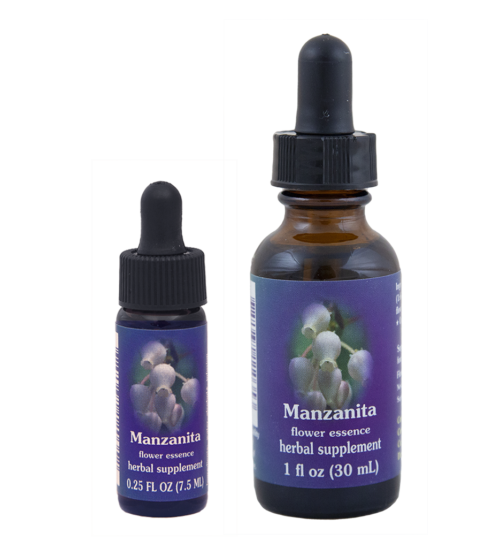 Manzanita (Uva de Oso, Gayuba)