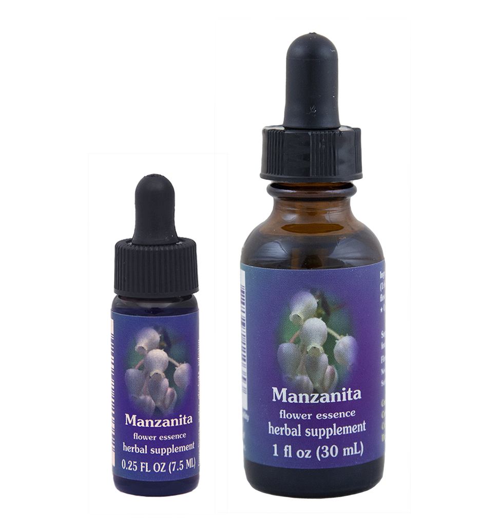 Manzanita (Uva de Oso, Gayuba)