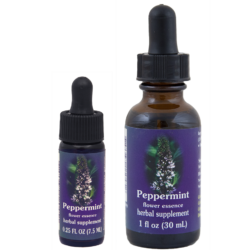 Peppermint (Menta, Hierbabuena)