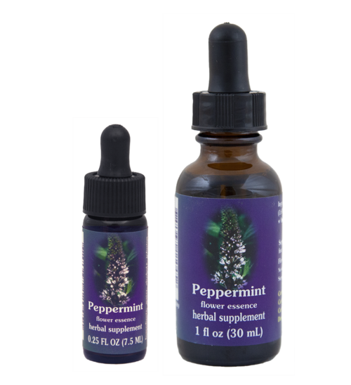 Peppermint (Menta, Hierbabuena)