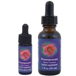 Pomegranate (Granado)
