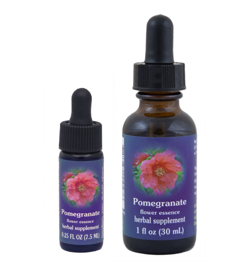 Pomegranate (Granado)