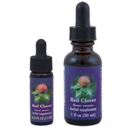 Red Clover (Trebol rojo, Trebol de los Prados)