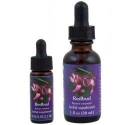 Redbud (Ciclamor)