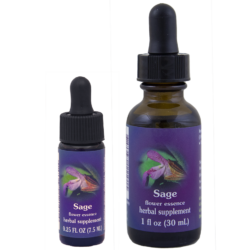 Sage (Salvia)