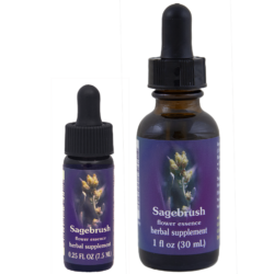 Sagebrush (Artemisa)