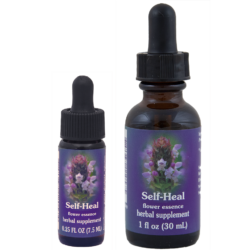 Self Heal (Consuelda menor,Érico)