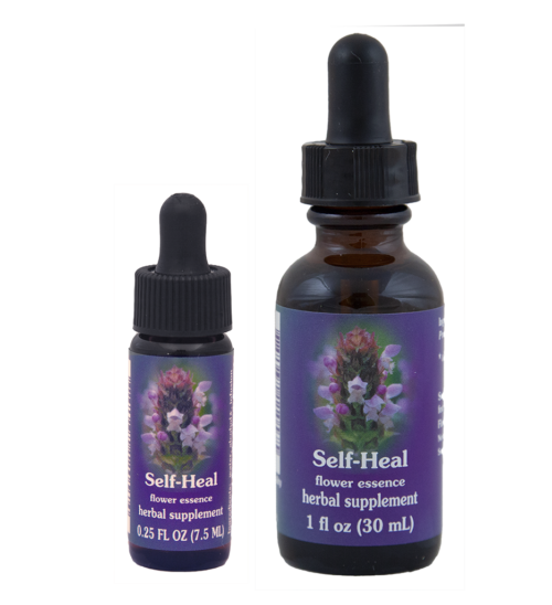 Self Heal (Consuelda menor,Érico)