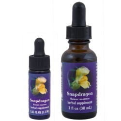 Snapdragron (Boca de Dragón)