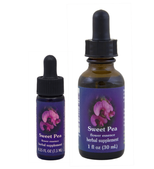 Sweet Pea (Guisante de Olor)