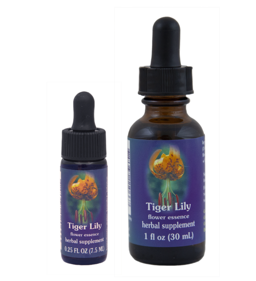 Tiger Lily (Lirio Atigrado)