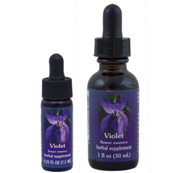 Violet (Violeta)