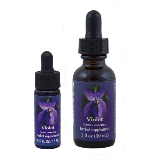 Violet (Violeta)