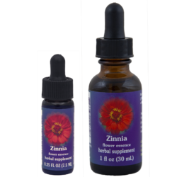 Zinnia (Cinia, Rosa Mística, Flor de papel)