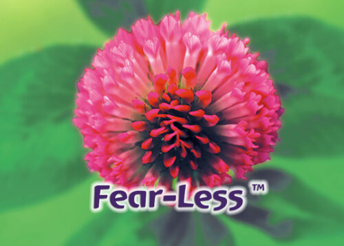 Fear-Less™