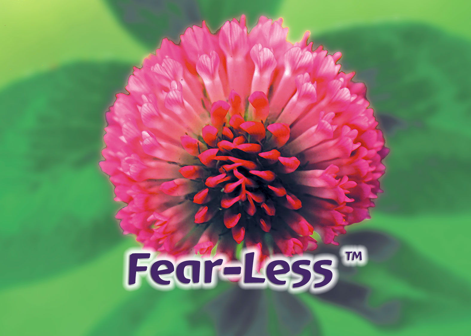 Fear-Less™