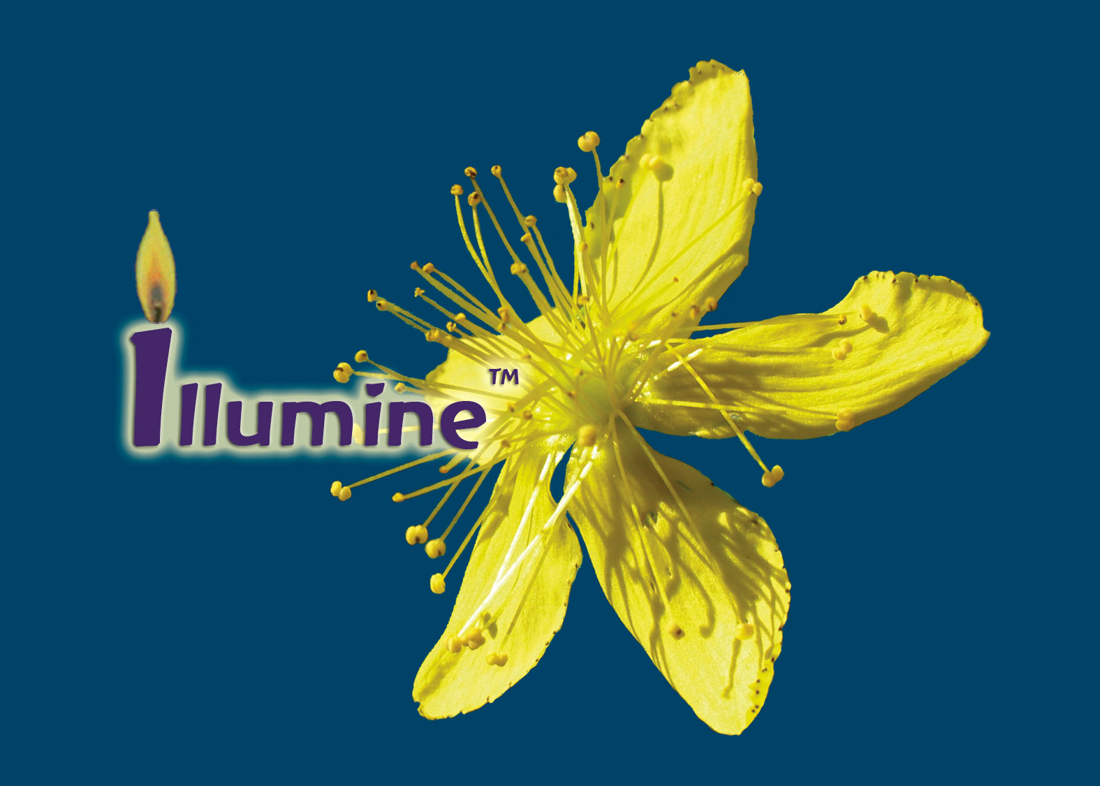 Illumine™