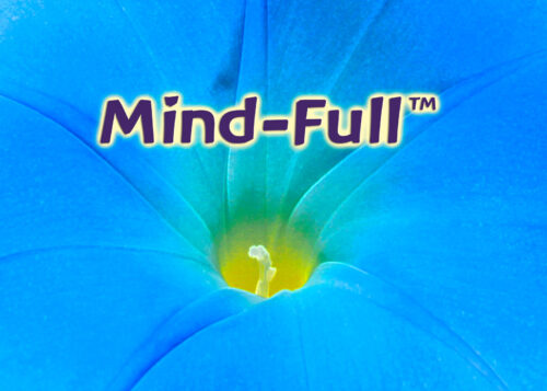 Mind-Full™